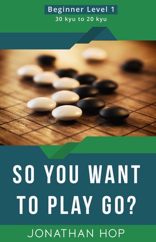 So You Want to Play Go?